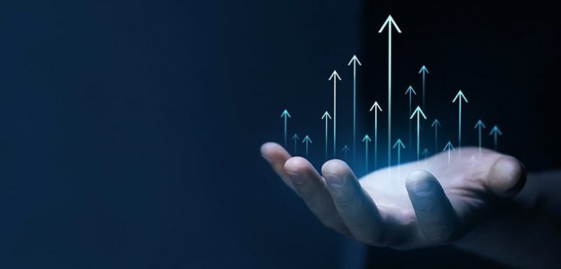 About Polytravis Services Limited